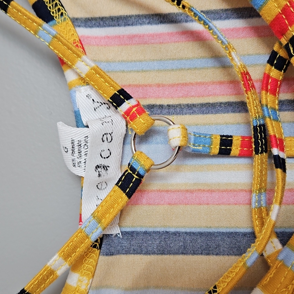 Eye Candy Large Striped Colorful Tank Top